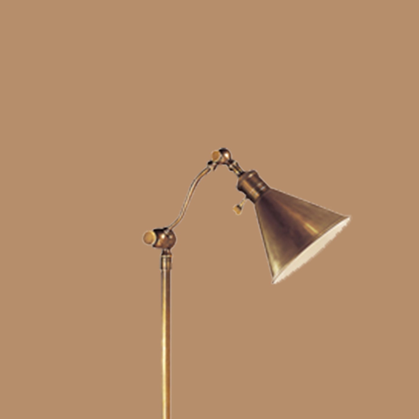 Adjustable Brass Floor Lamp
