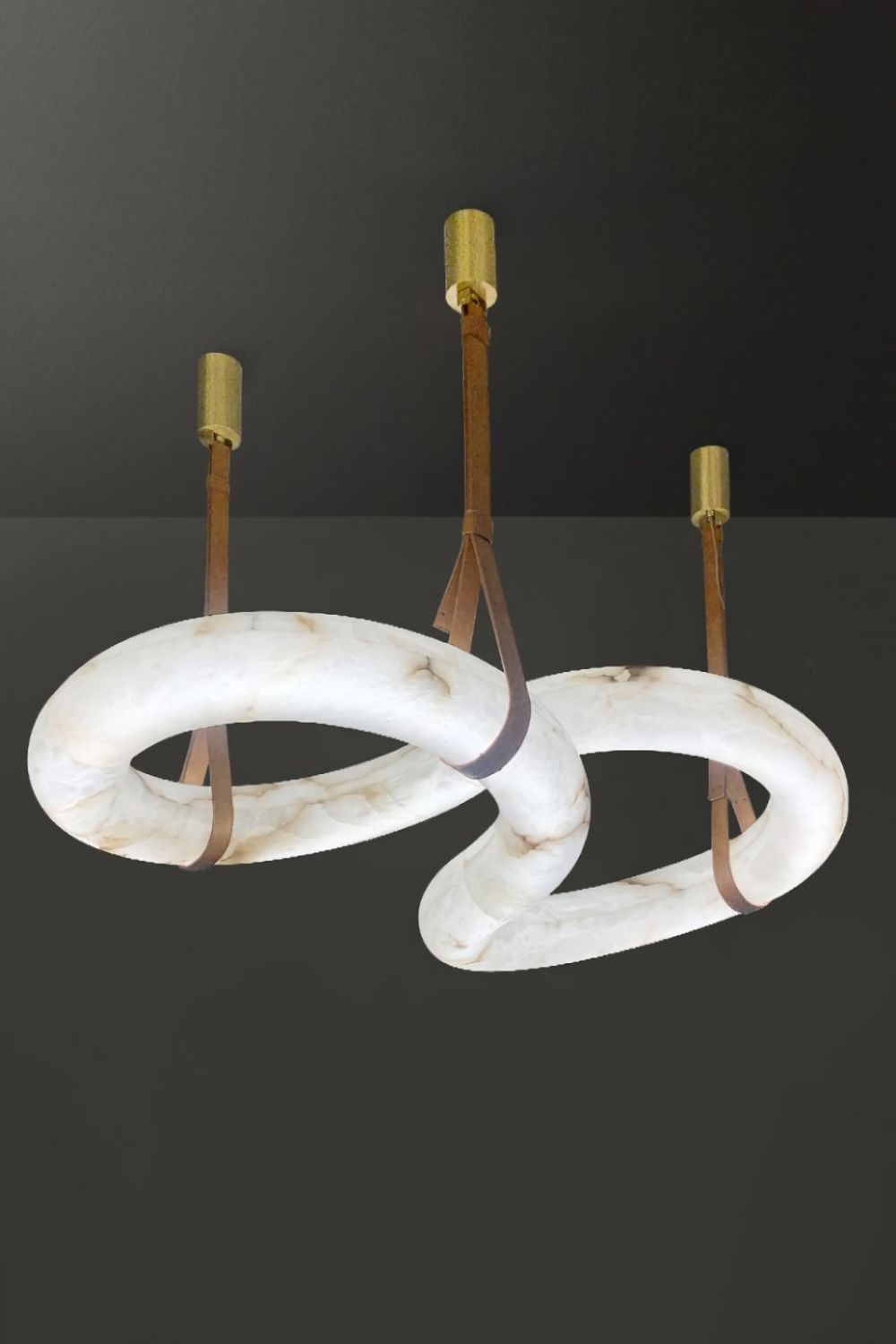Loop Hanging Light - everlamps