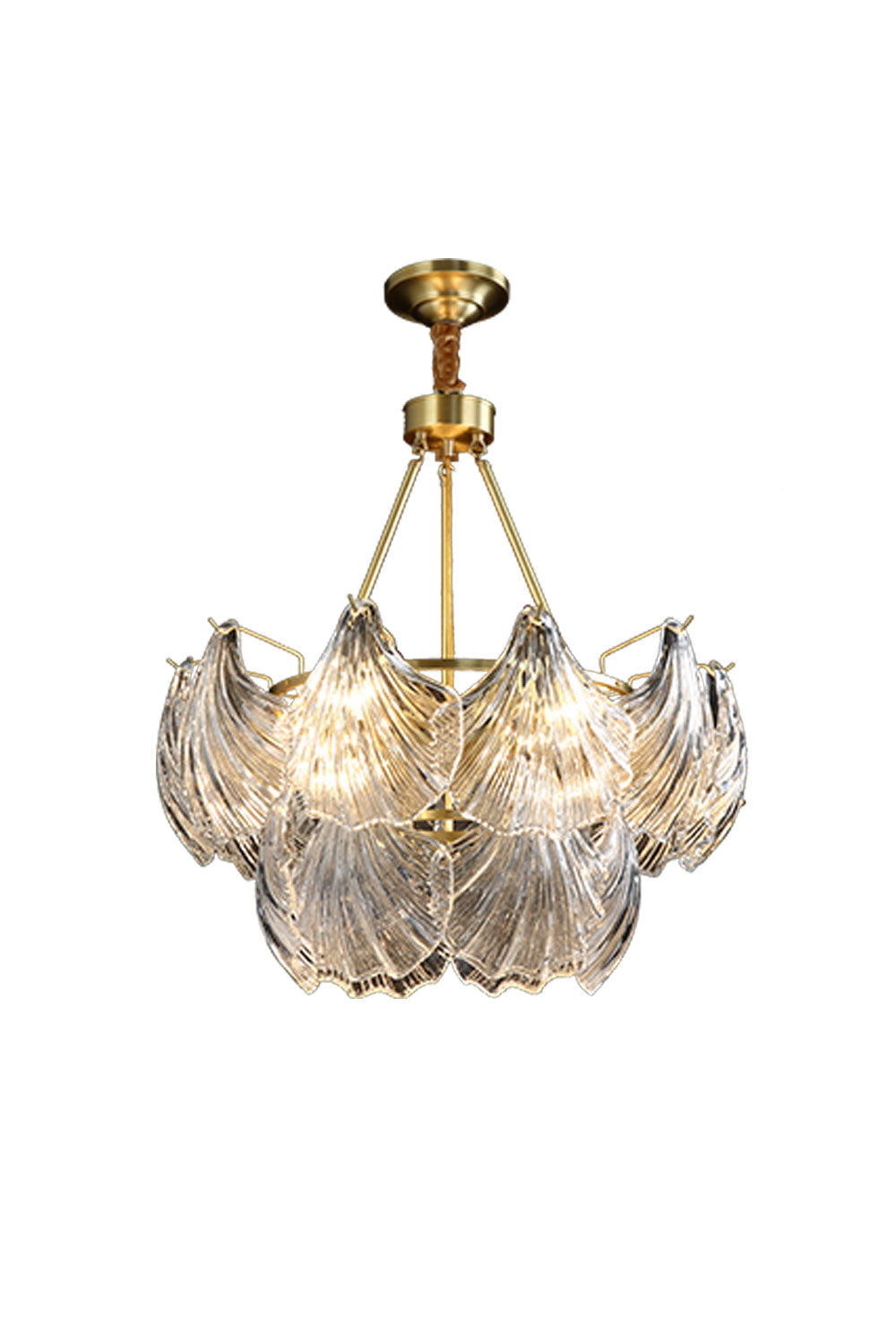 Scallop Shaped Chandelier Light - everlamps