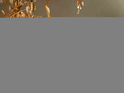 Nicoletta Round Chandelier