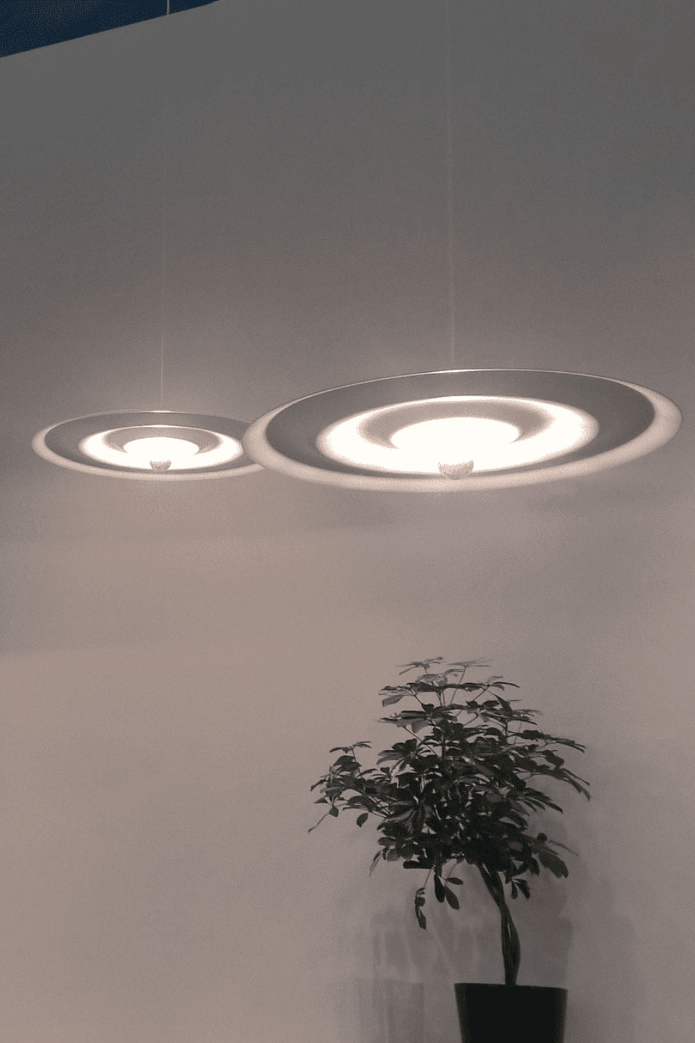 Alma pendant lamp - everlamps