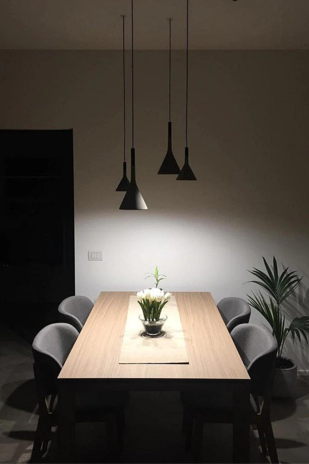 Aplomb Pendant Lamp - everlamps