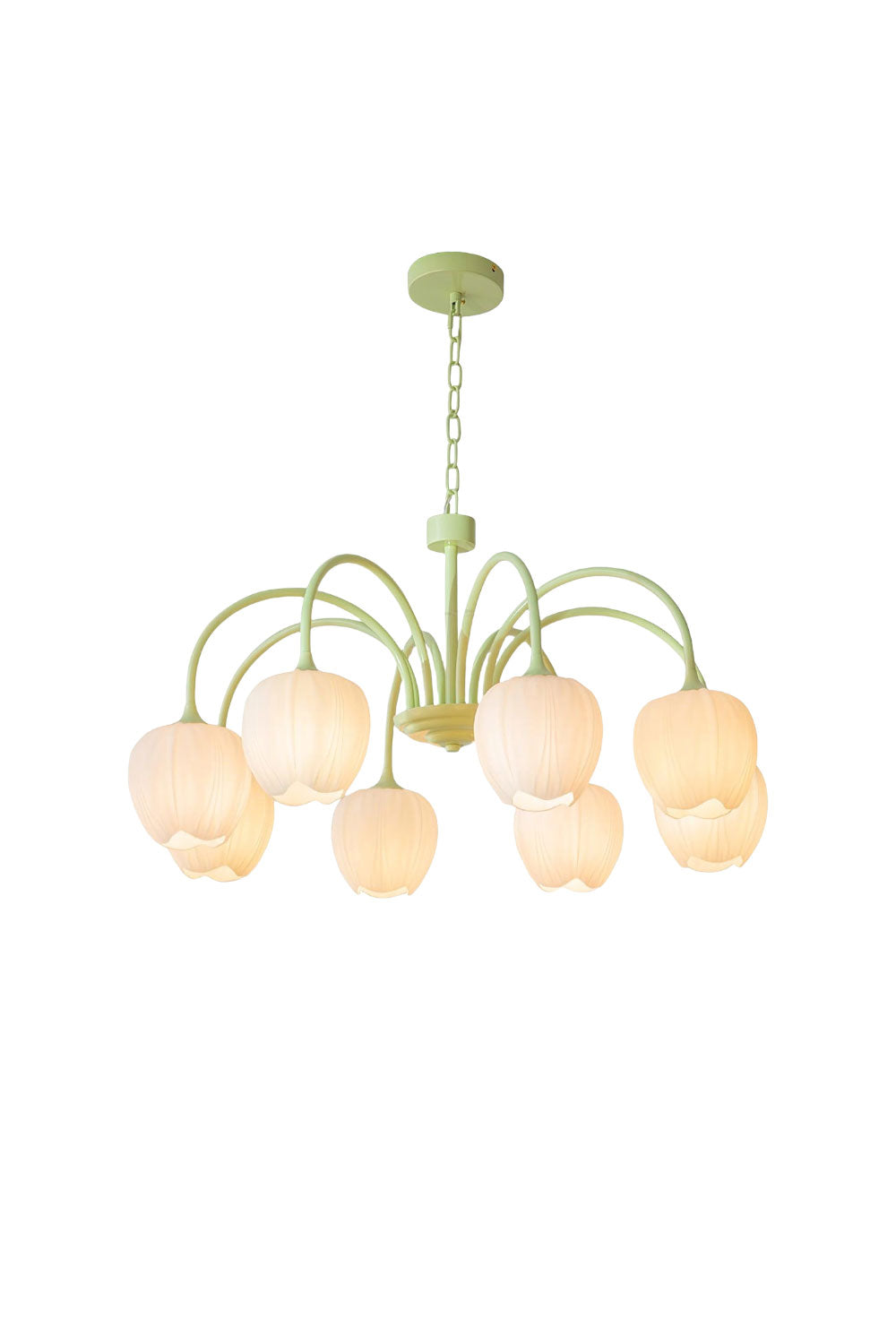 Blossom Tulip Matcha Chandelier | everlamps