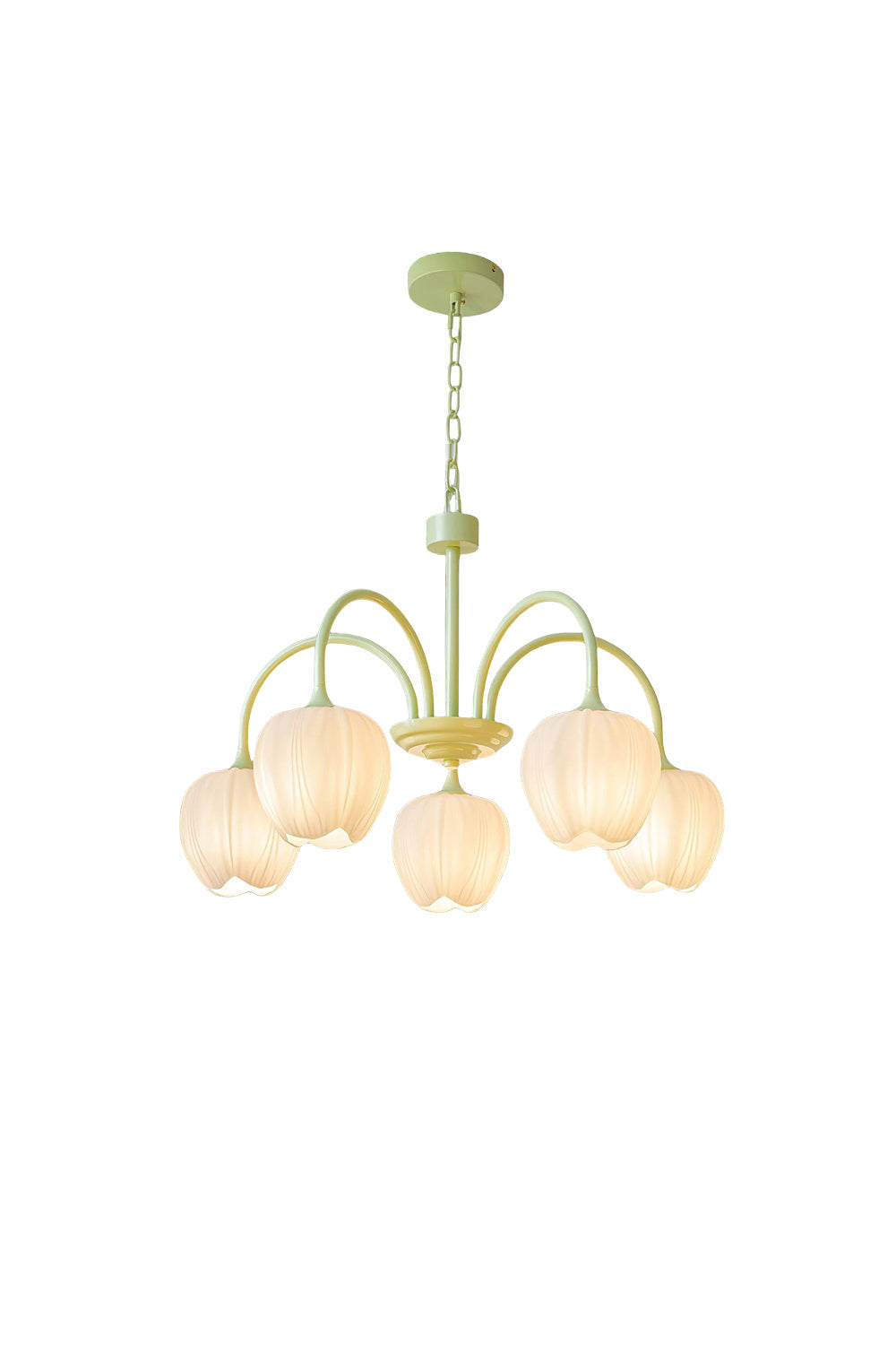 Blossom Tulip Matcha Chandelier - view 14 | everlamps