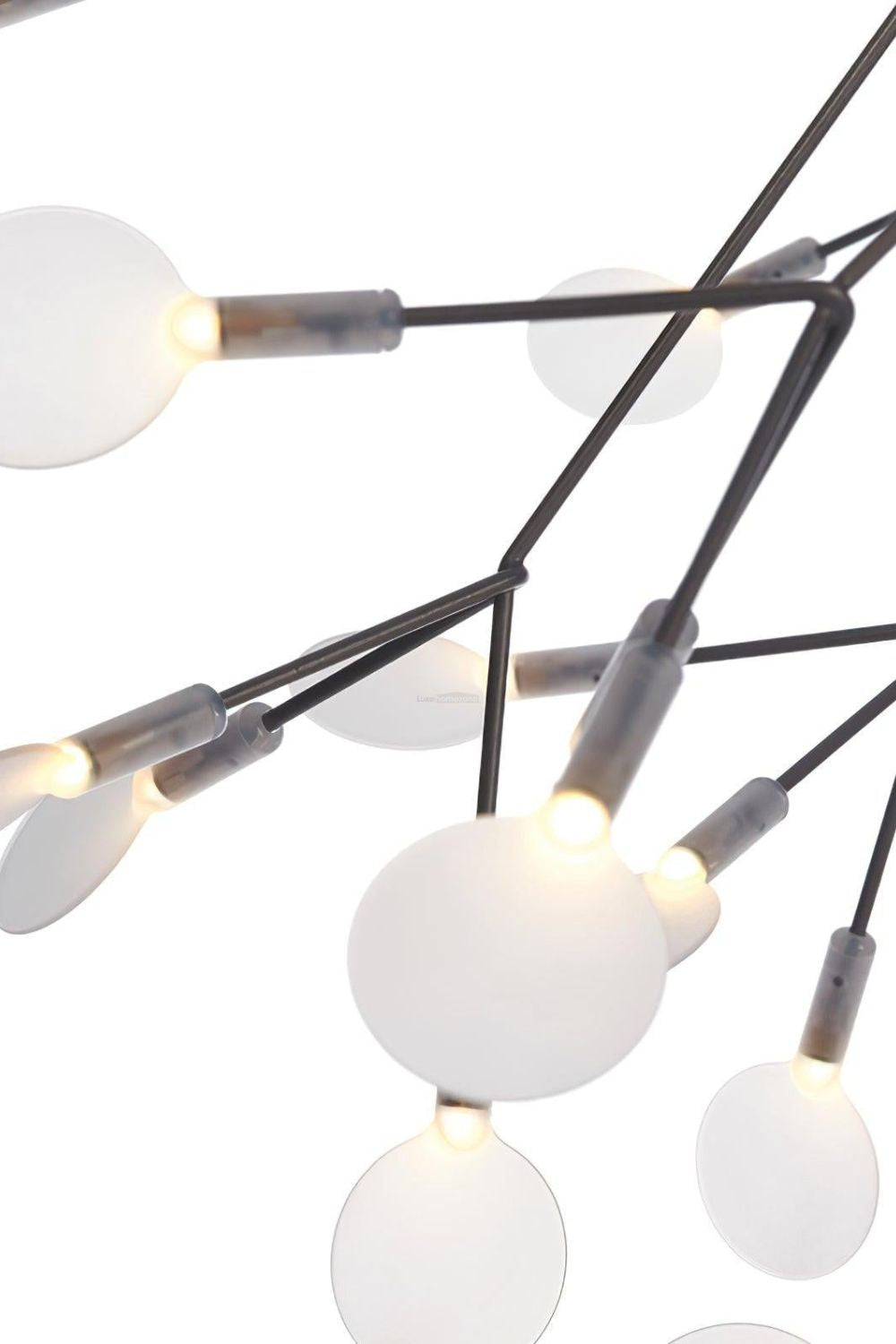 Branched Firefly LED Chandelier - view 17 | everlamps