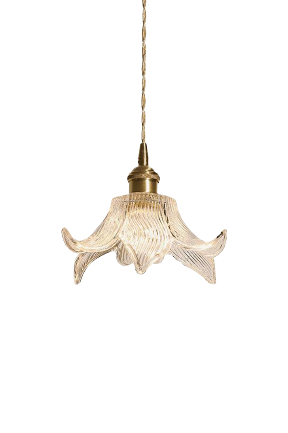 Clear Petal Glass Pendant Lamp | everlamps