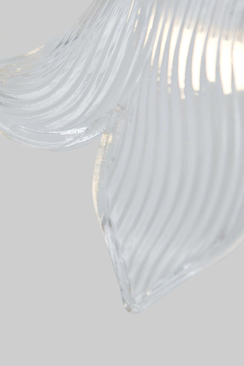 Clear Petal Glass Pendant Lamp - view 13 | everlamps