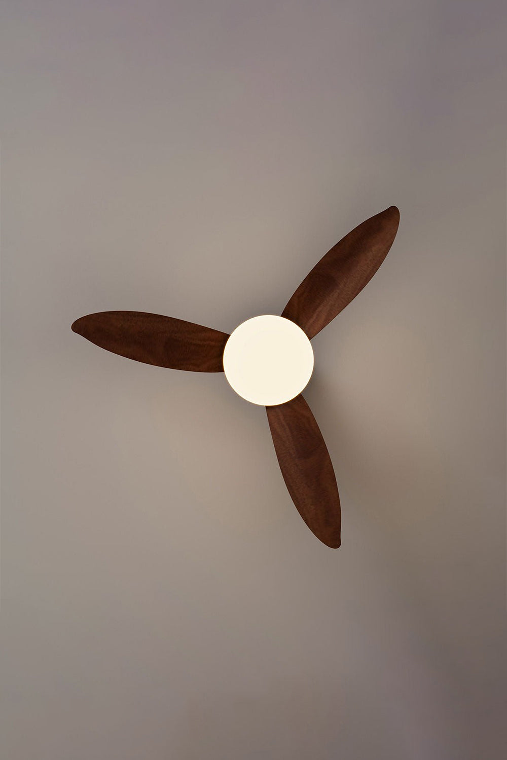 Corin Low-Profile Ceiling Fan Light with three curved wood blades and soft illuminated center, ideal for low ceilings.