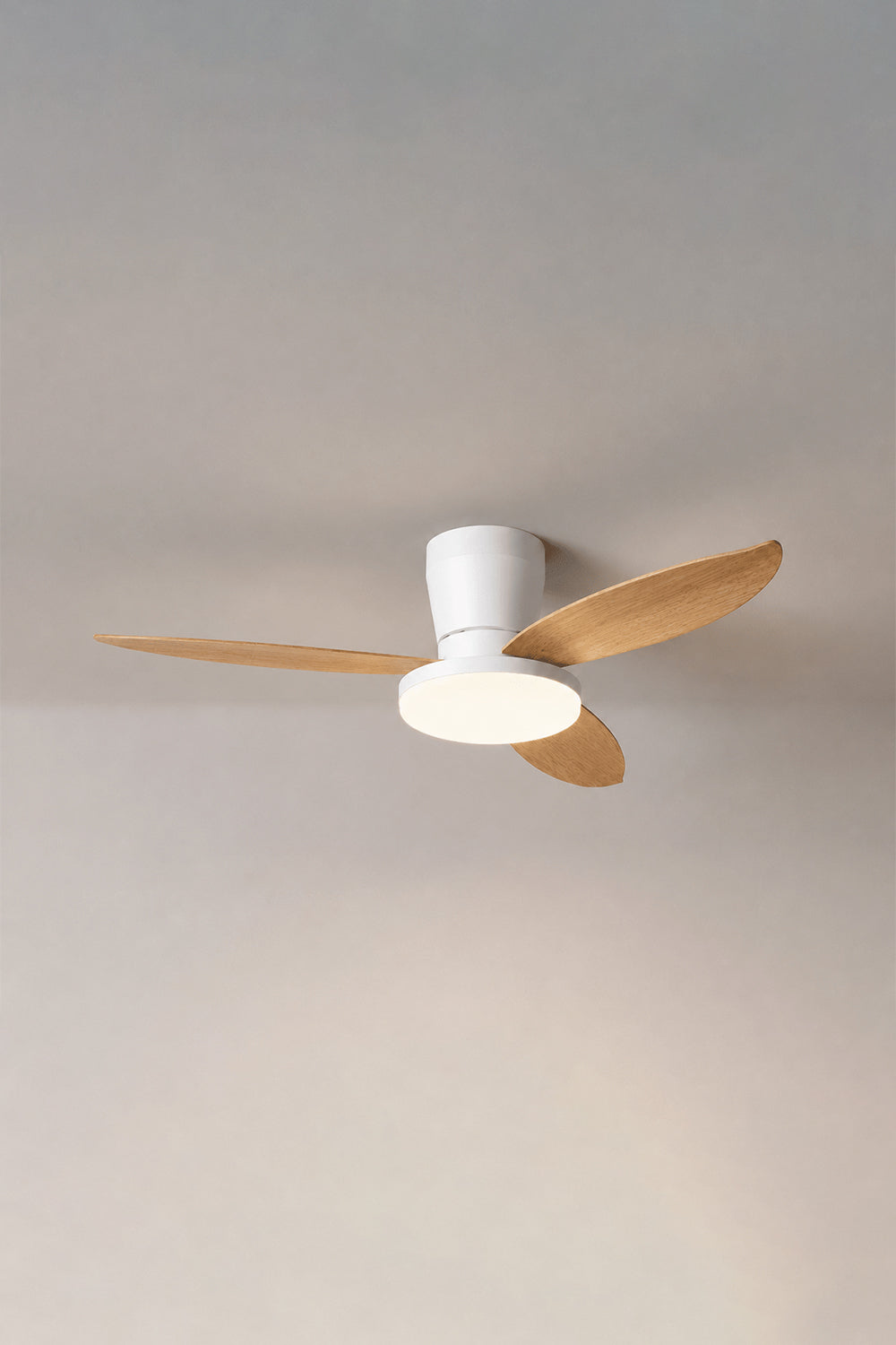 Corin Low-Profile Ceiling Fan Light featuring sculpted blades and integrated LED light.
