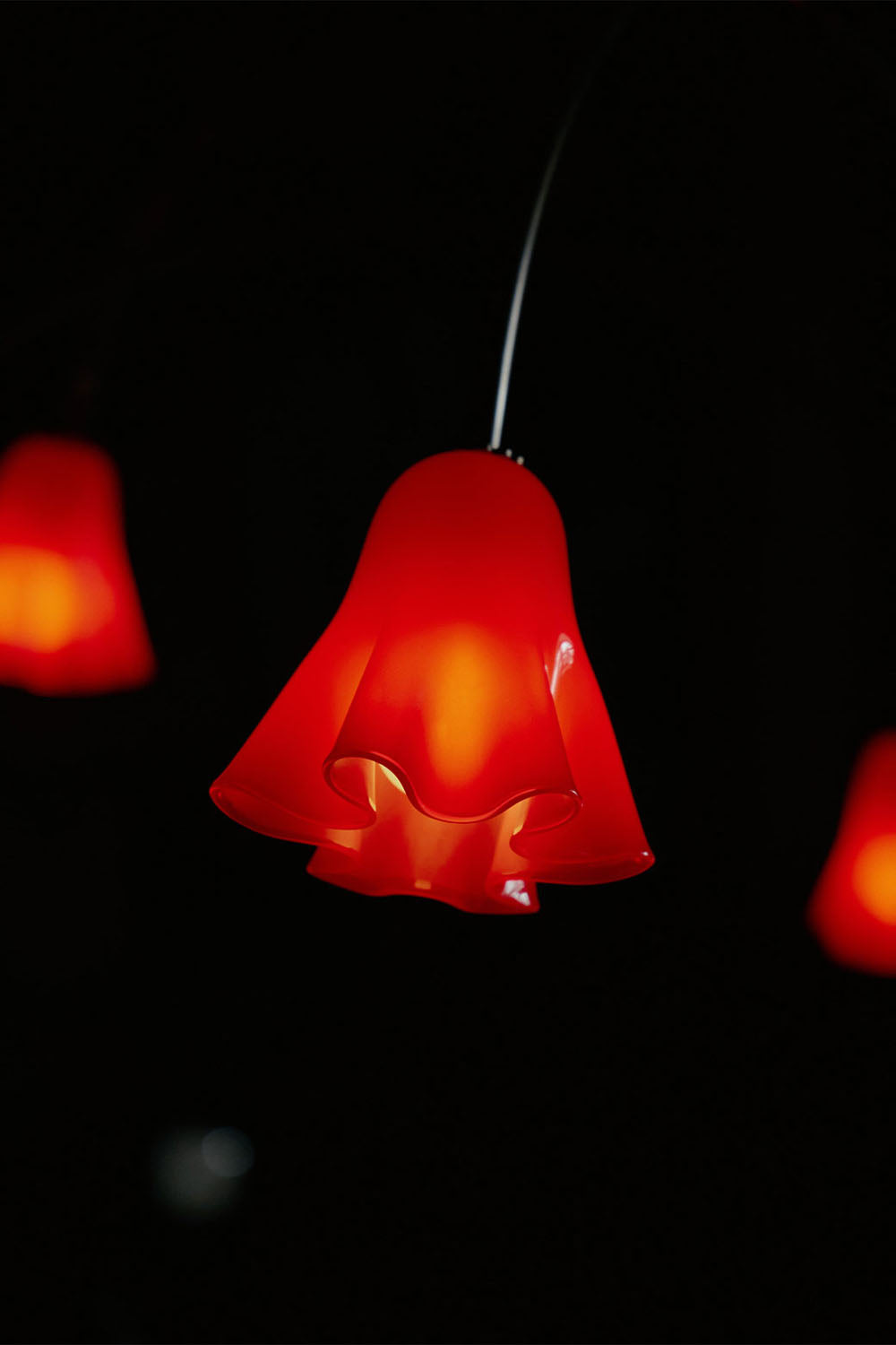 Flora Tulip Series Chandelier - view 15 | everlamps