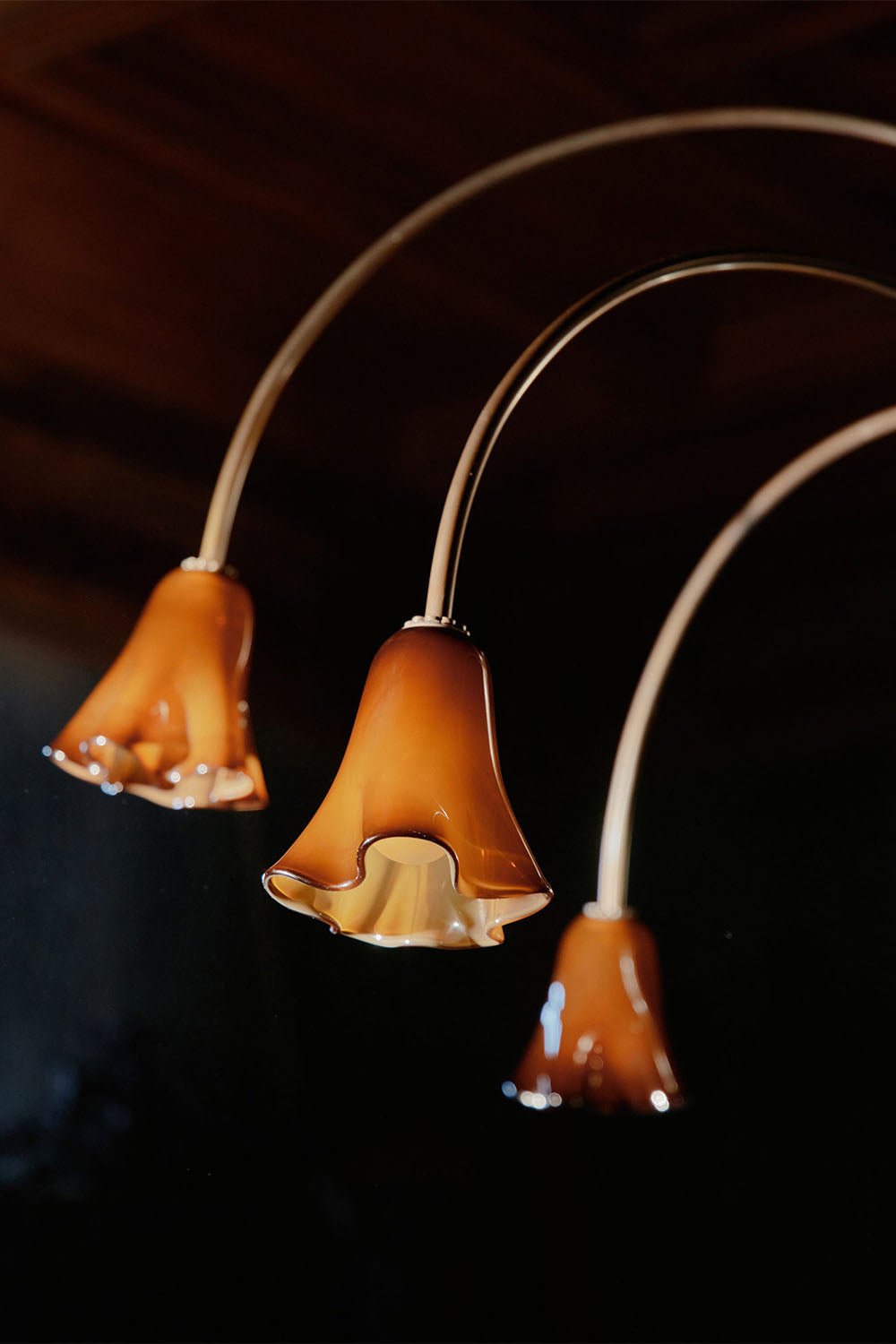 Flora Tulip Series Chandelier - view 17 | everlamps