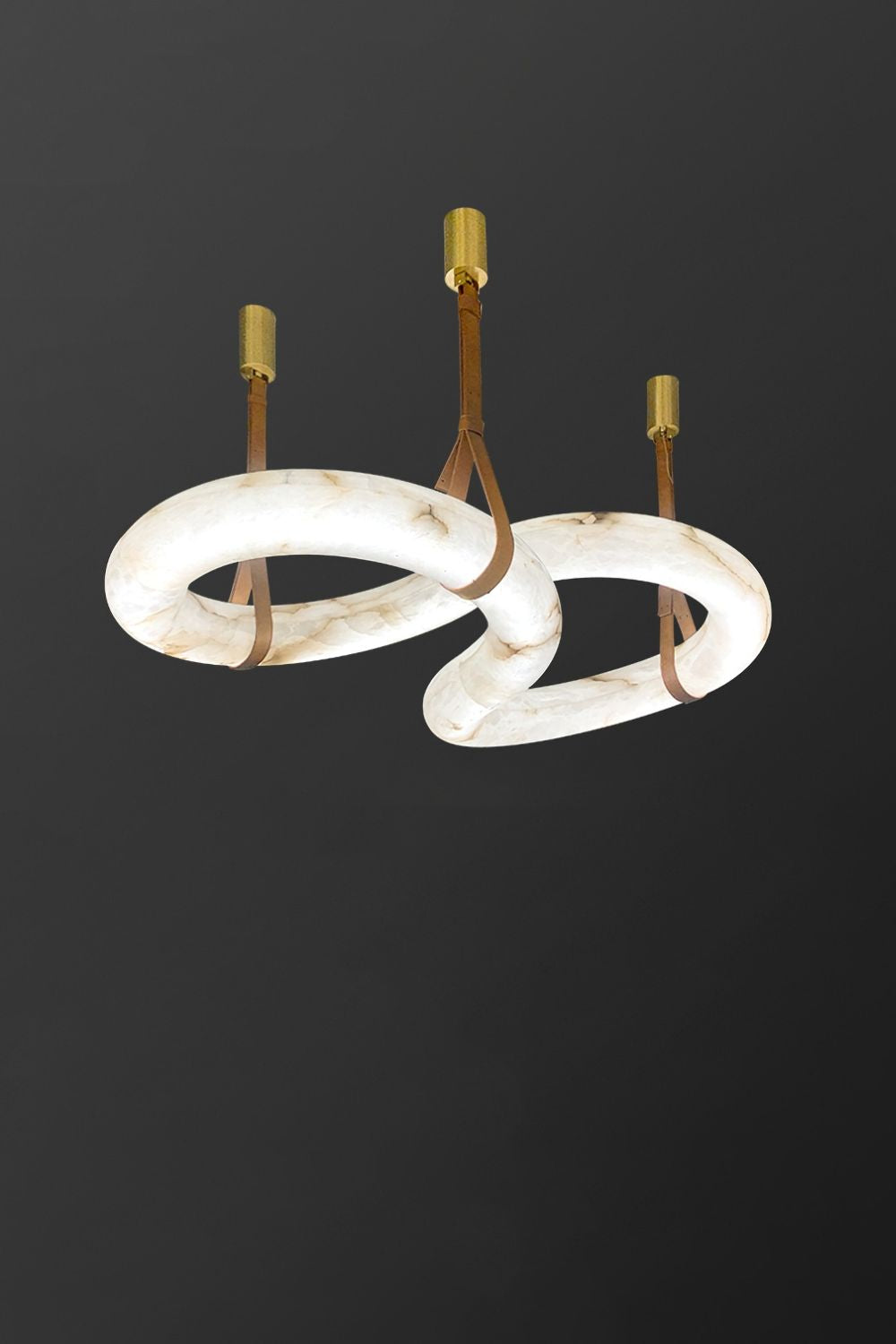 Loop Hanging Light - everlamps
