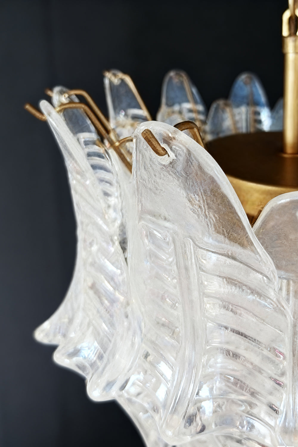 Italian Art Leaf Chandelier - view 24 | everlamps