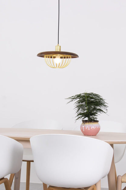 Kasa Pendant Lamp - everlamps