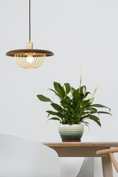 Kasa Pendant Lamp - everlamps