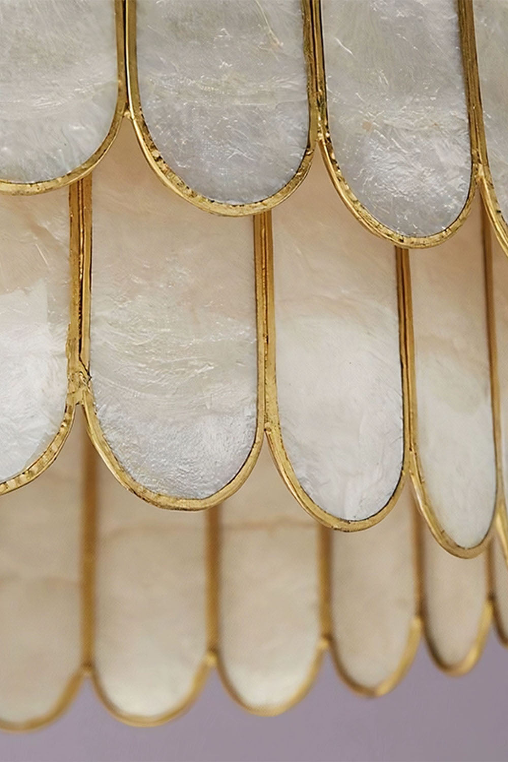 Light Luxury Shell Chandelier - view 12 | everlamps