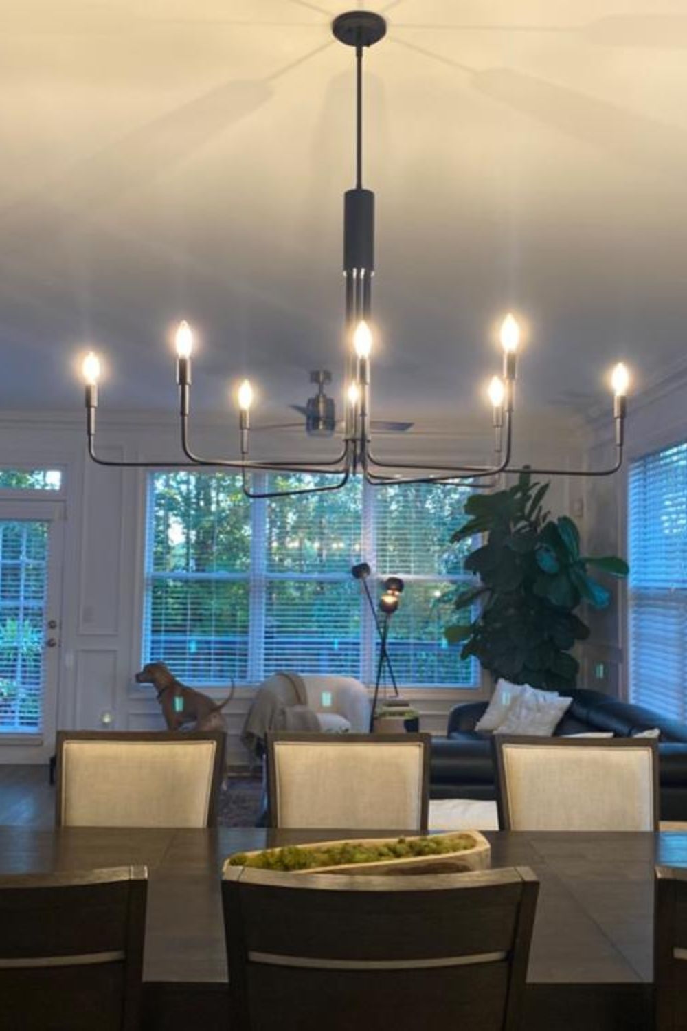 Light Society Bella Chandelier - everlamps