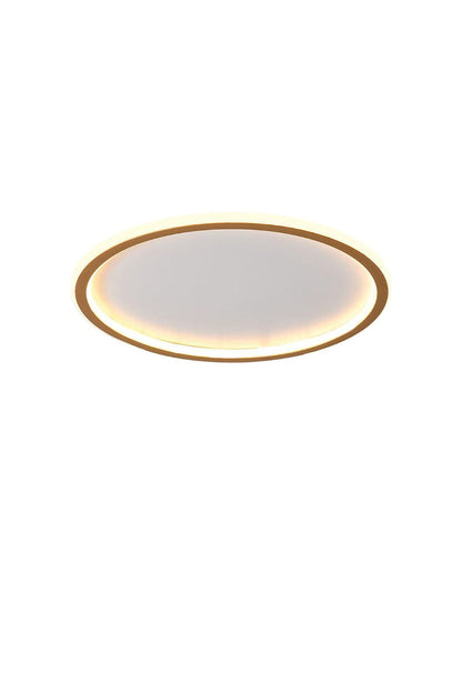 Minimalist Ceiling Lights | everlamps