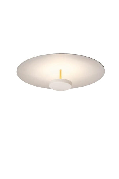 OLEV Overfly Plus Ceiling Light | everlamps