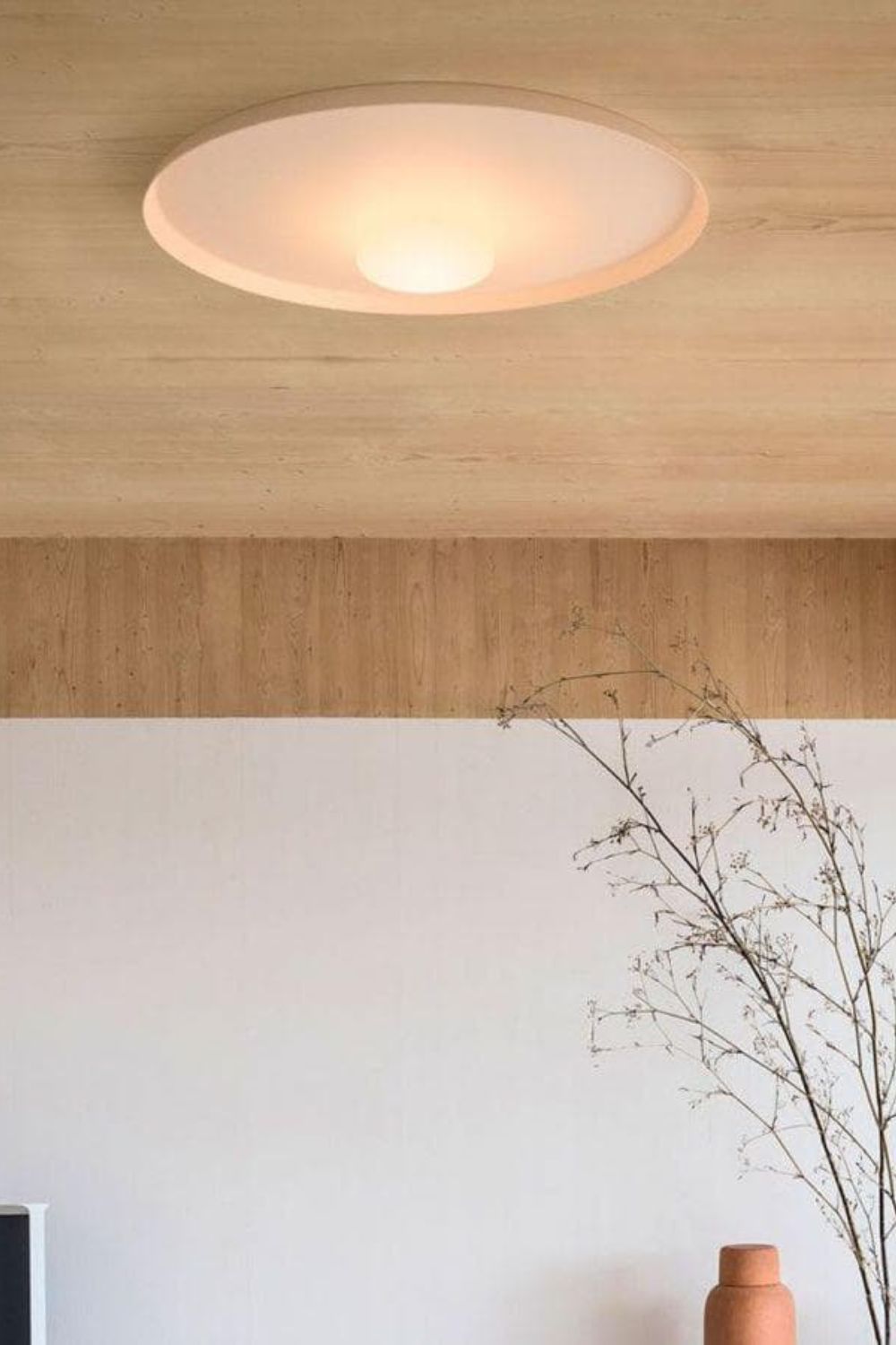 OLEV Overfly Plus Ceiling Light - view 7 | everlamps