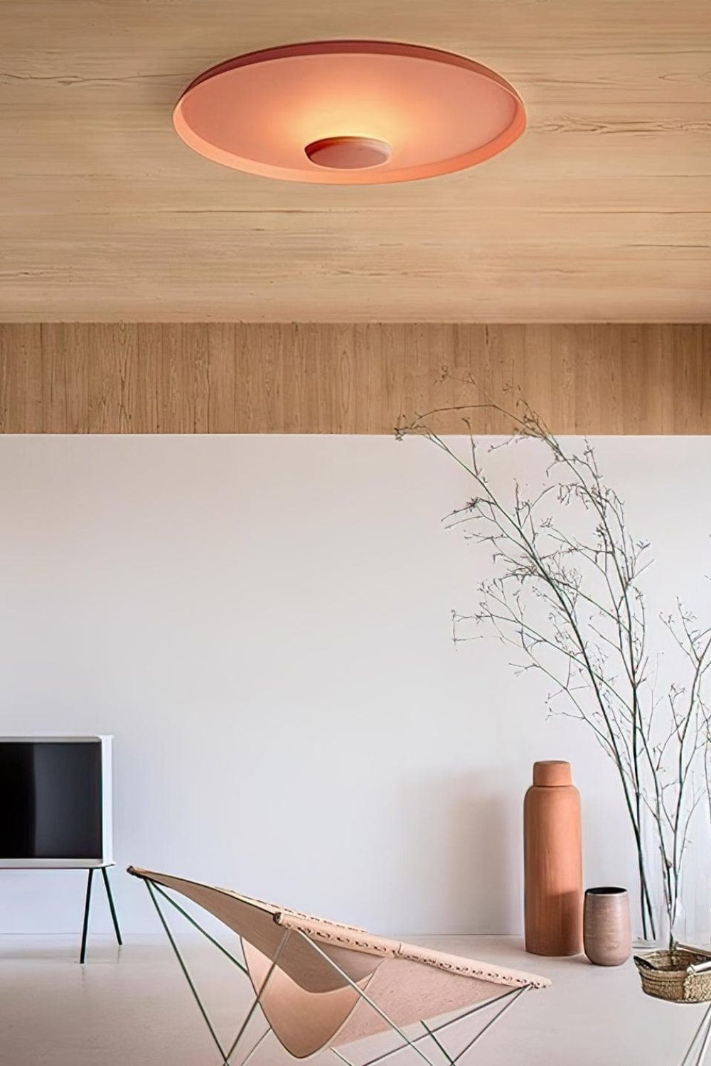 OLEV Overfly Plus Ceiling Light - view 11 | everlamps