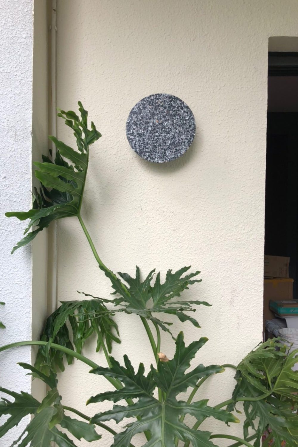 Pin Wall Lamp - everlamps