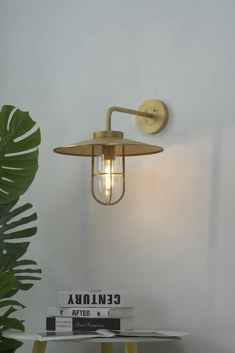 Lit brass nautical wall light on white interior wall | Brass, Glass | Indoor scene with a green plant | vexa lamps