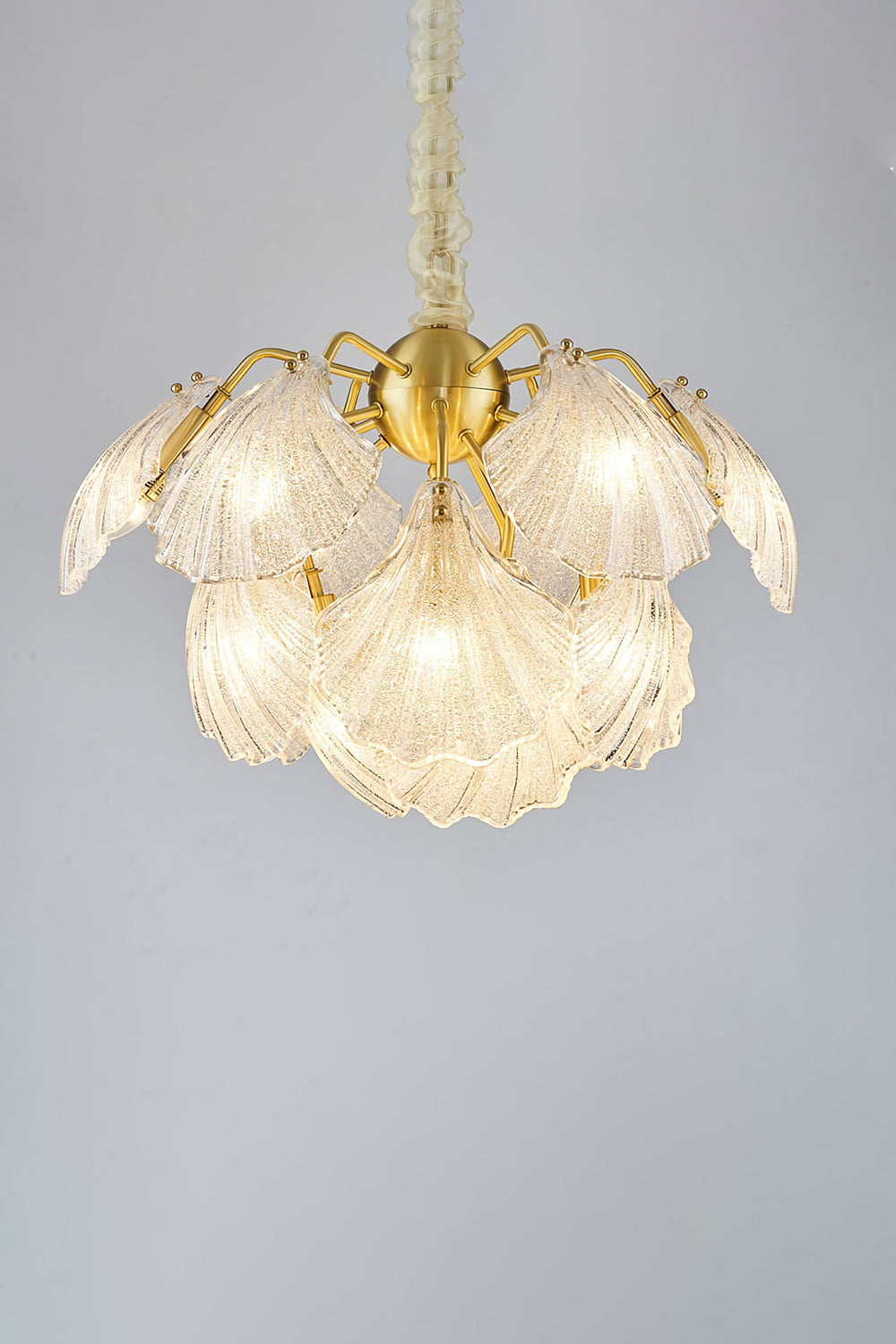 Ribbed Shell Chandelier - everlamps