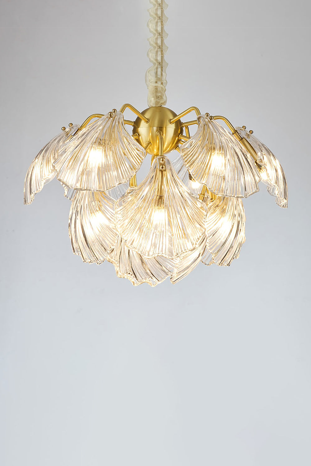 Ribbed Shell Chandelier - everlamps