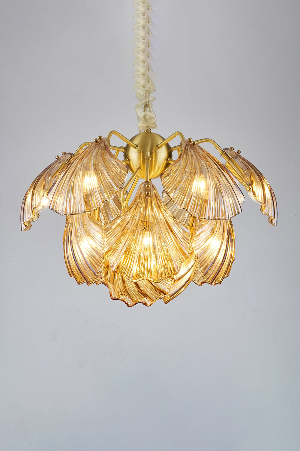 Ribbed Shell Chandelier - everlamps