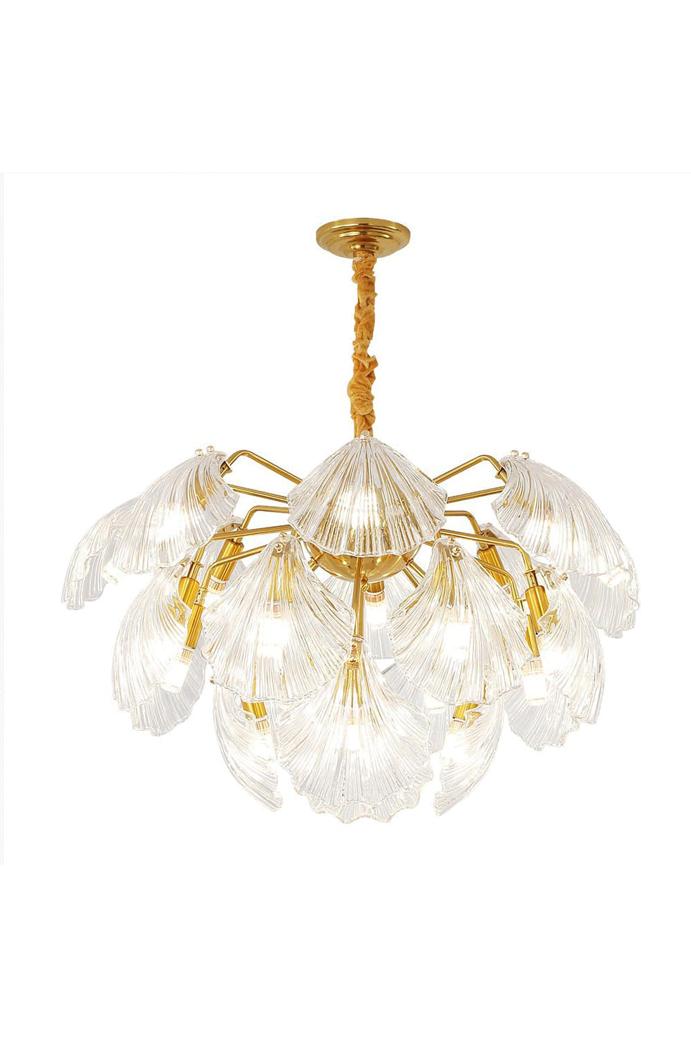 Ribbed Shell Chandelier - everlamps