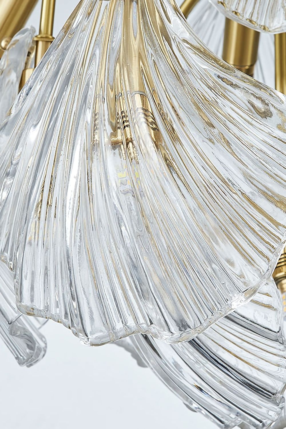 Ribbed Shell Chandelier - everlamps