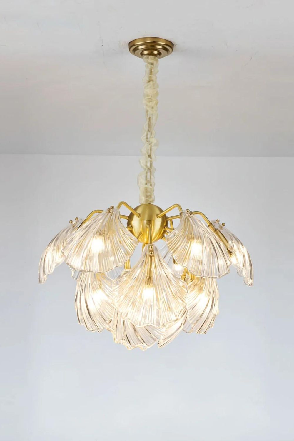 Ribbed Shell Chandelier - everlamps