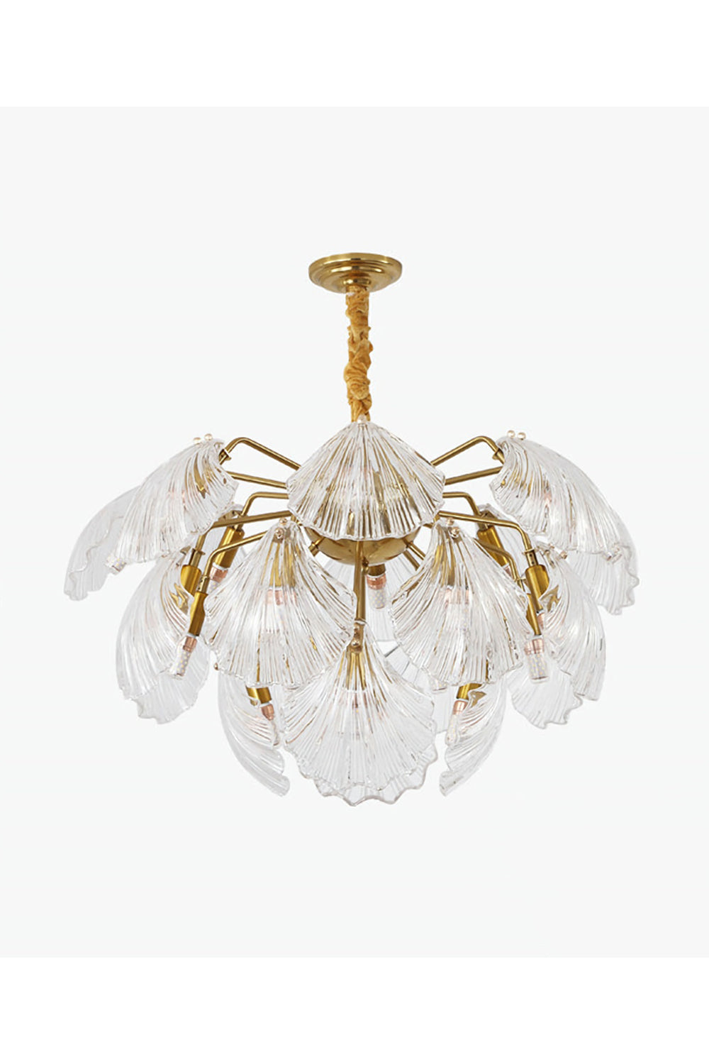 Ribbed Shell Chandelier - everlamps