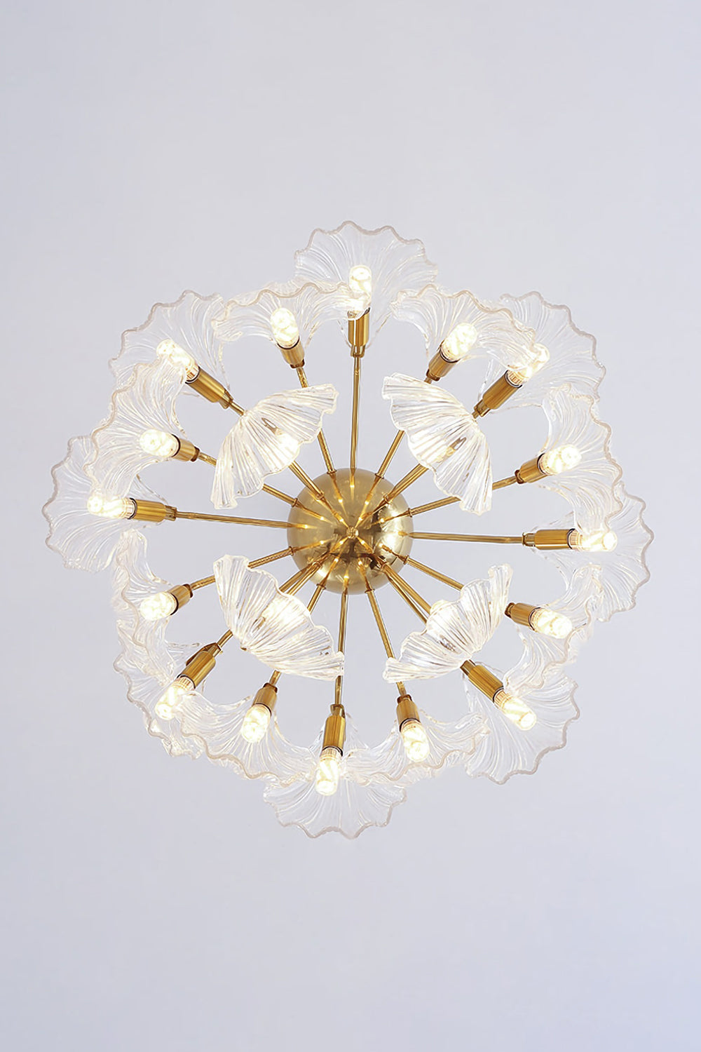 Ribbed Shell Chandelier - everlamps