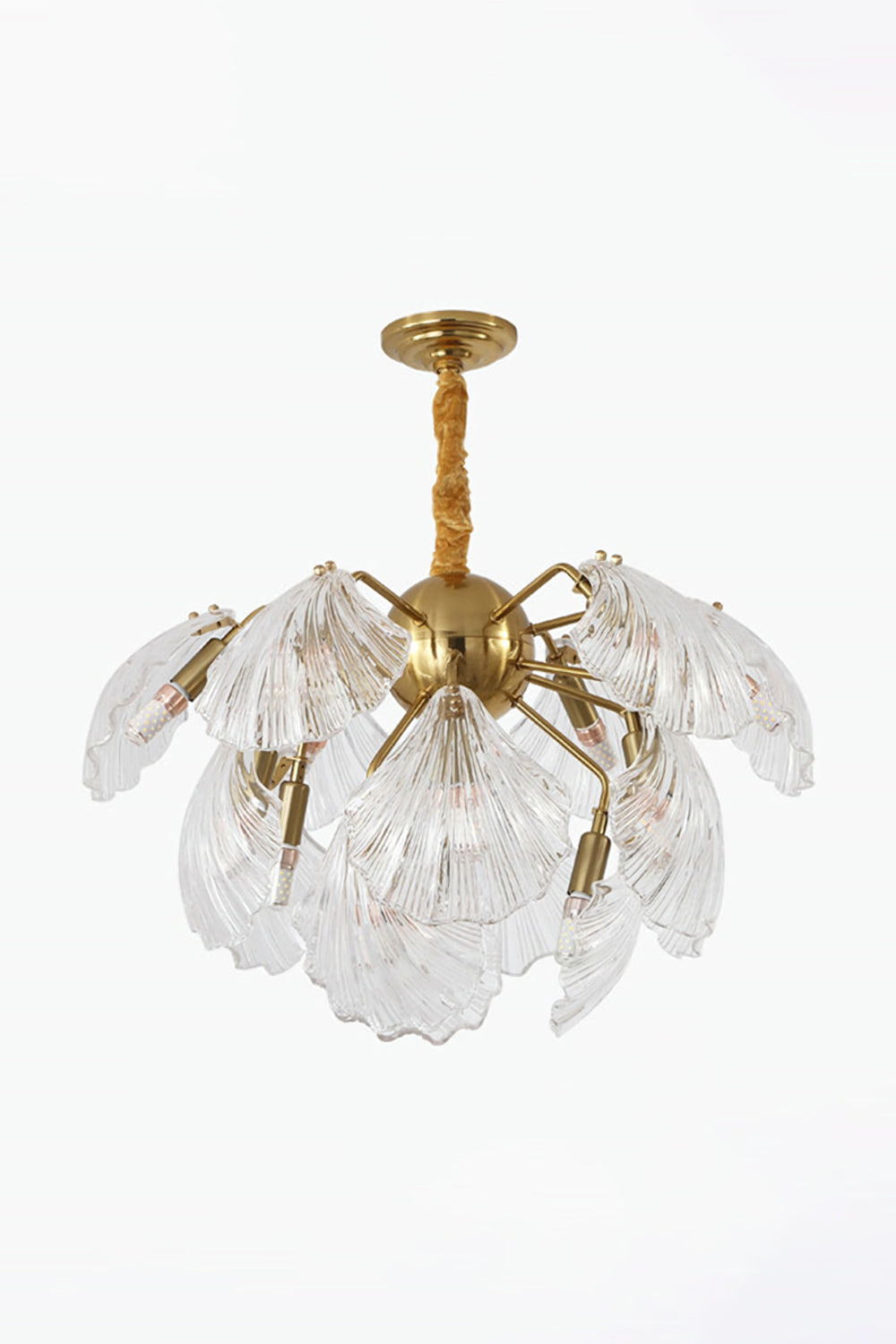 Ribbed Shell Chandelier - everlamps