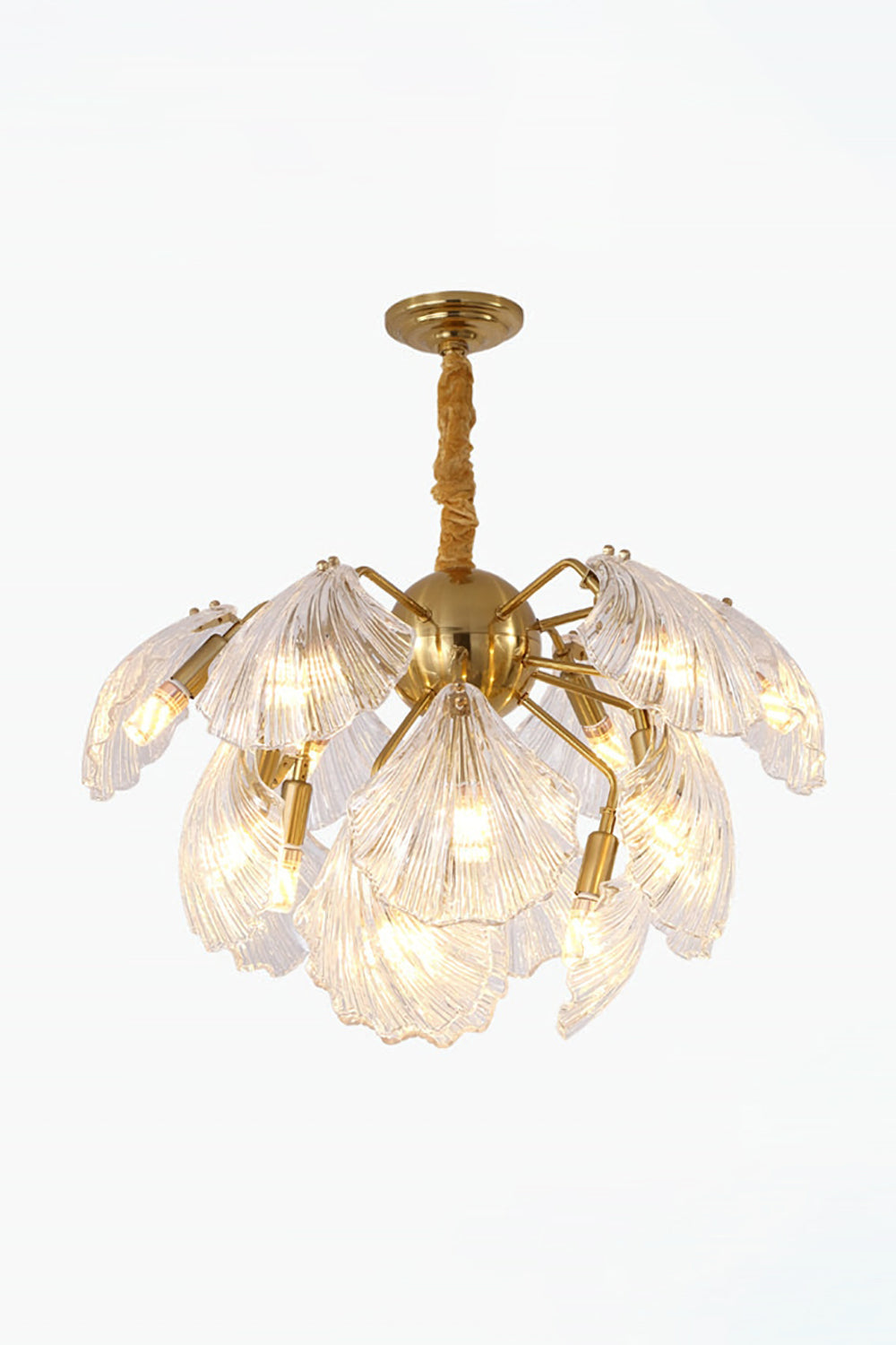 Ribbed Shell Chandelier - everlamps