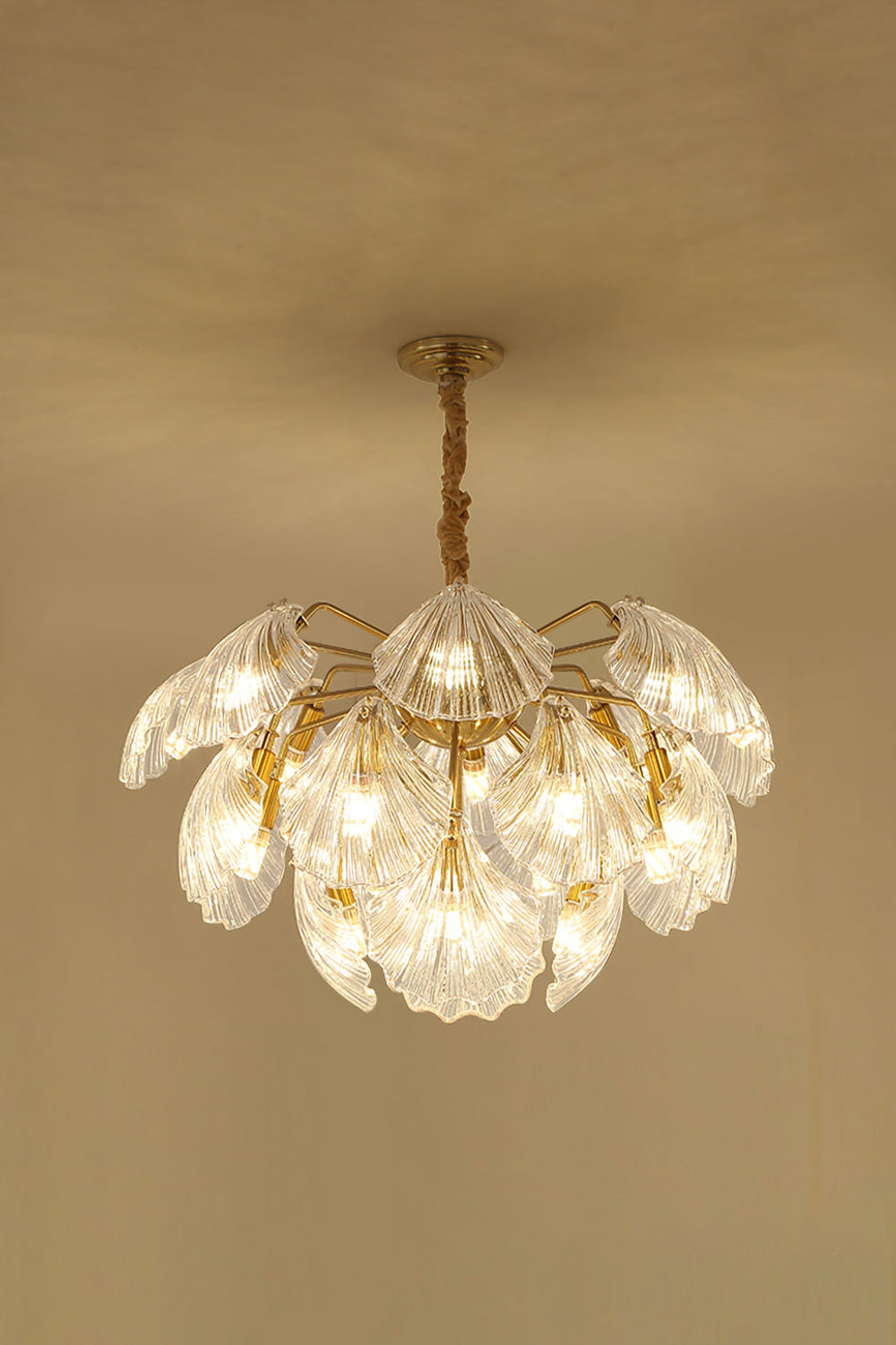 Ribbed Shell Chandelier - everlamps