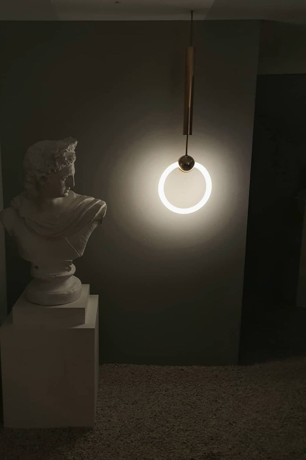 Ring Pendant Light - everlamps