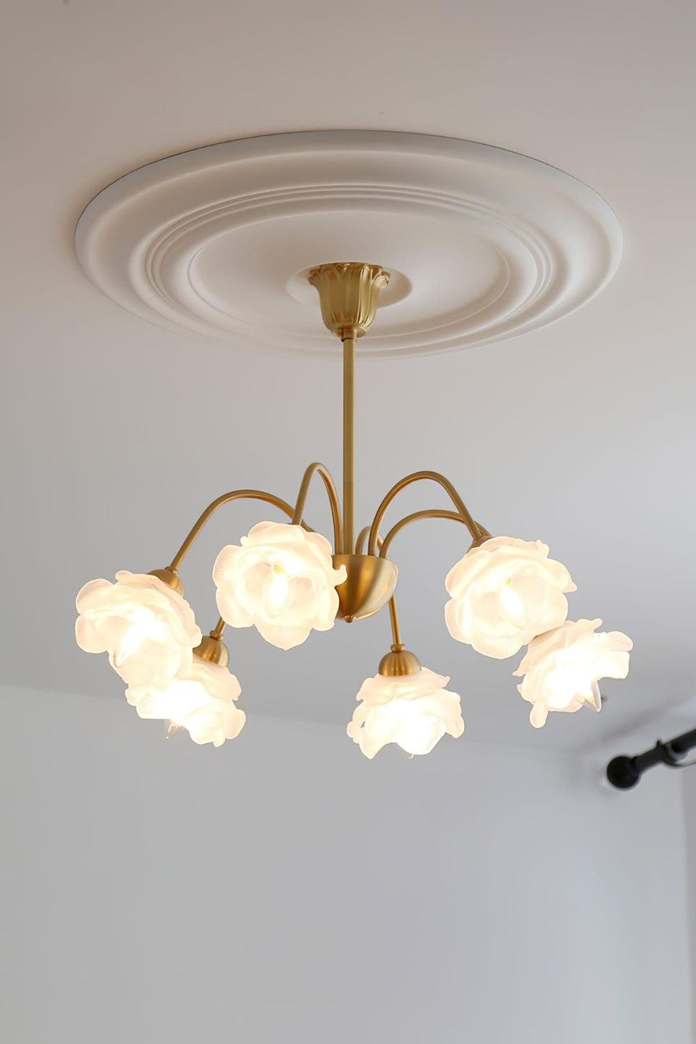 Roses Chandelier - everlamps