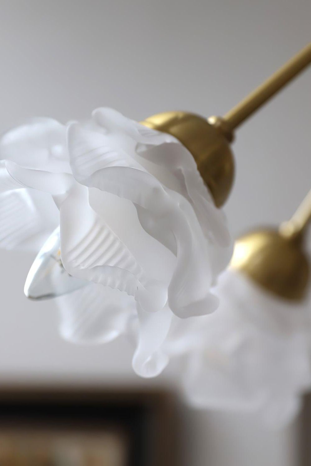 Roses Chandelier - everlamps