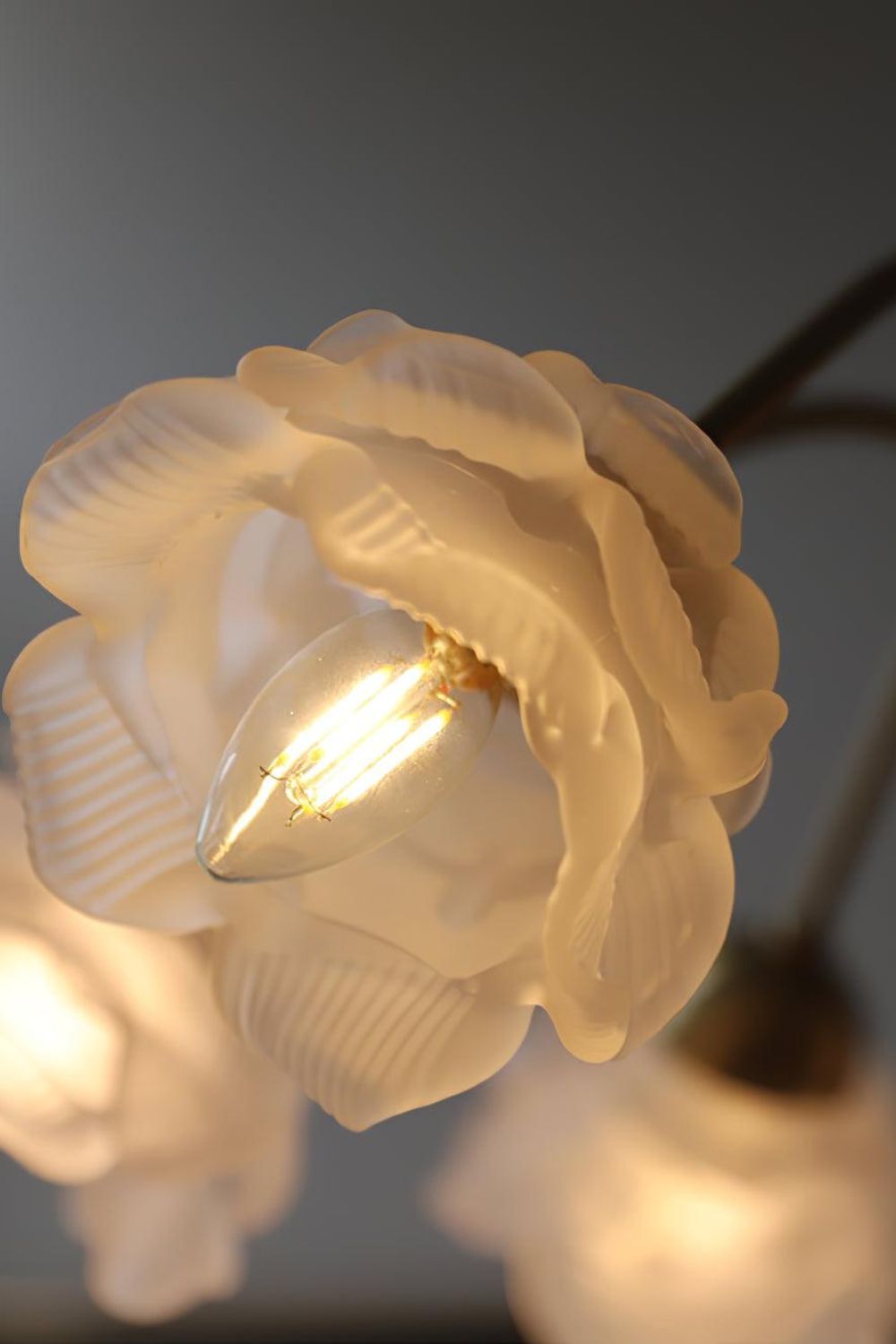 Roses Chandelier - everlamps