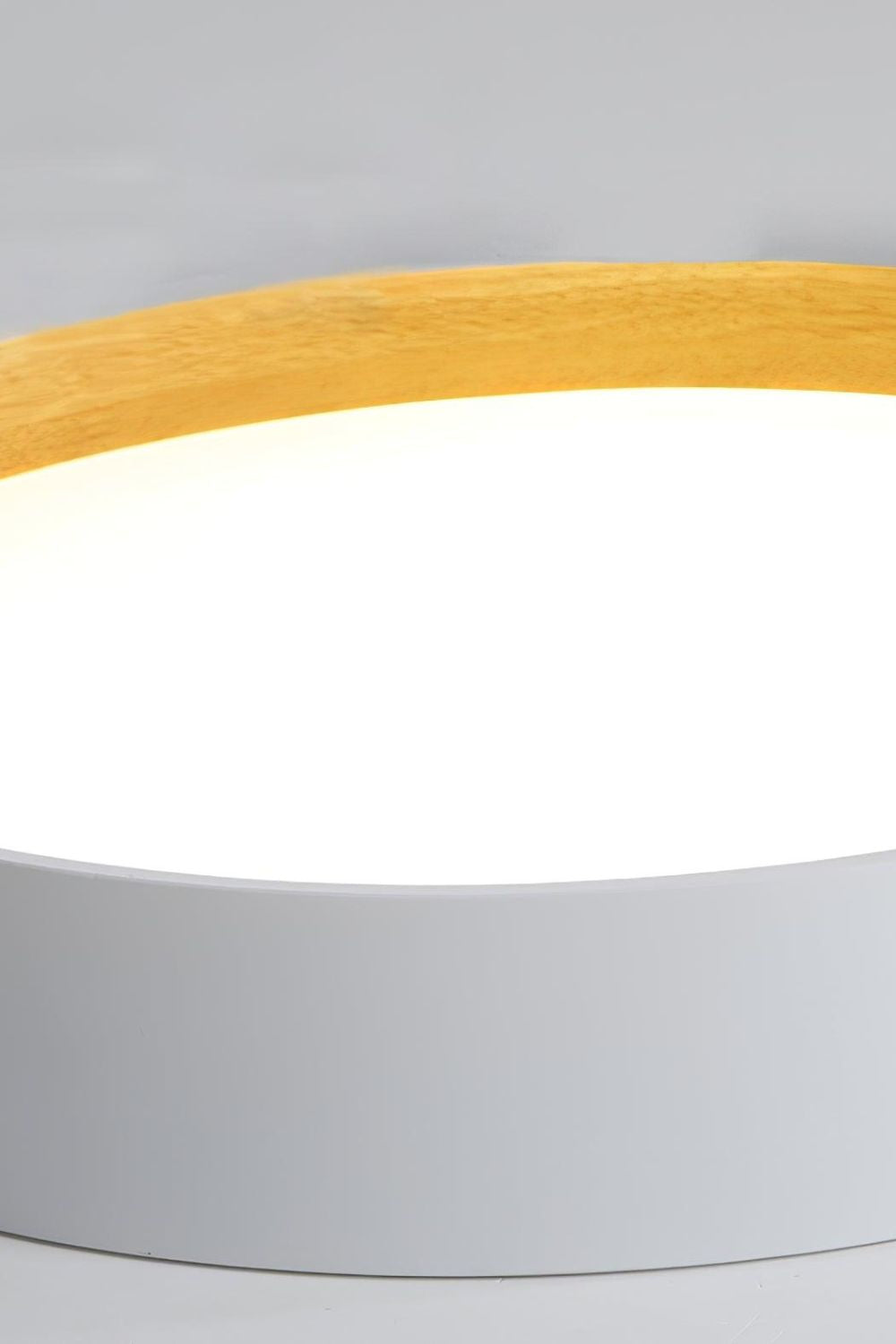 Round Ceiling Lamp - view 22 | everlamps