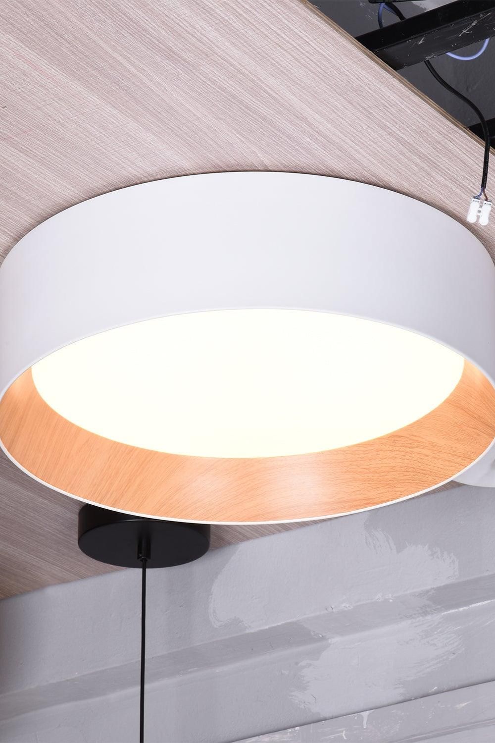 Round Ceiling Lamp - view 20 | everlamps