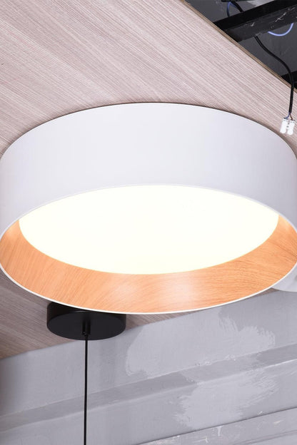 Round Ceiling Lamp - view 20 | everlamps