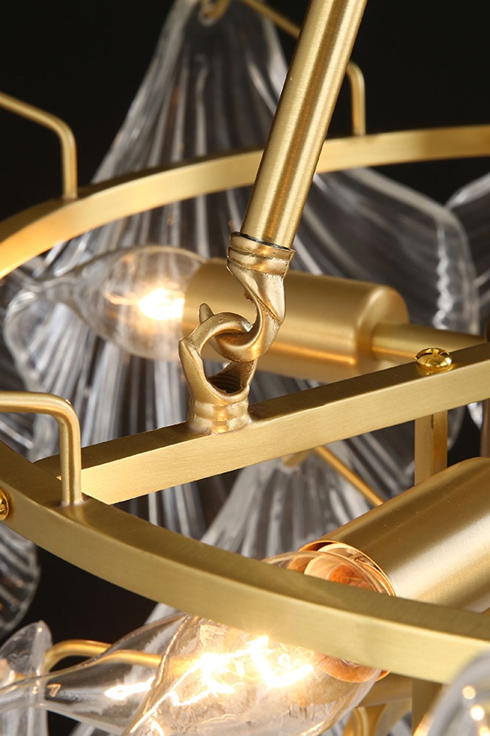 Scallop Shaped Chandelier Light - everlamps