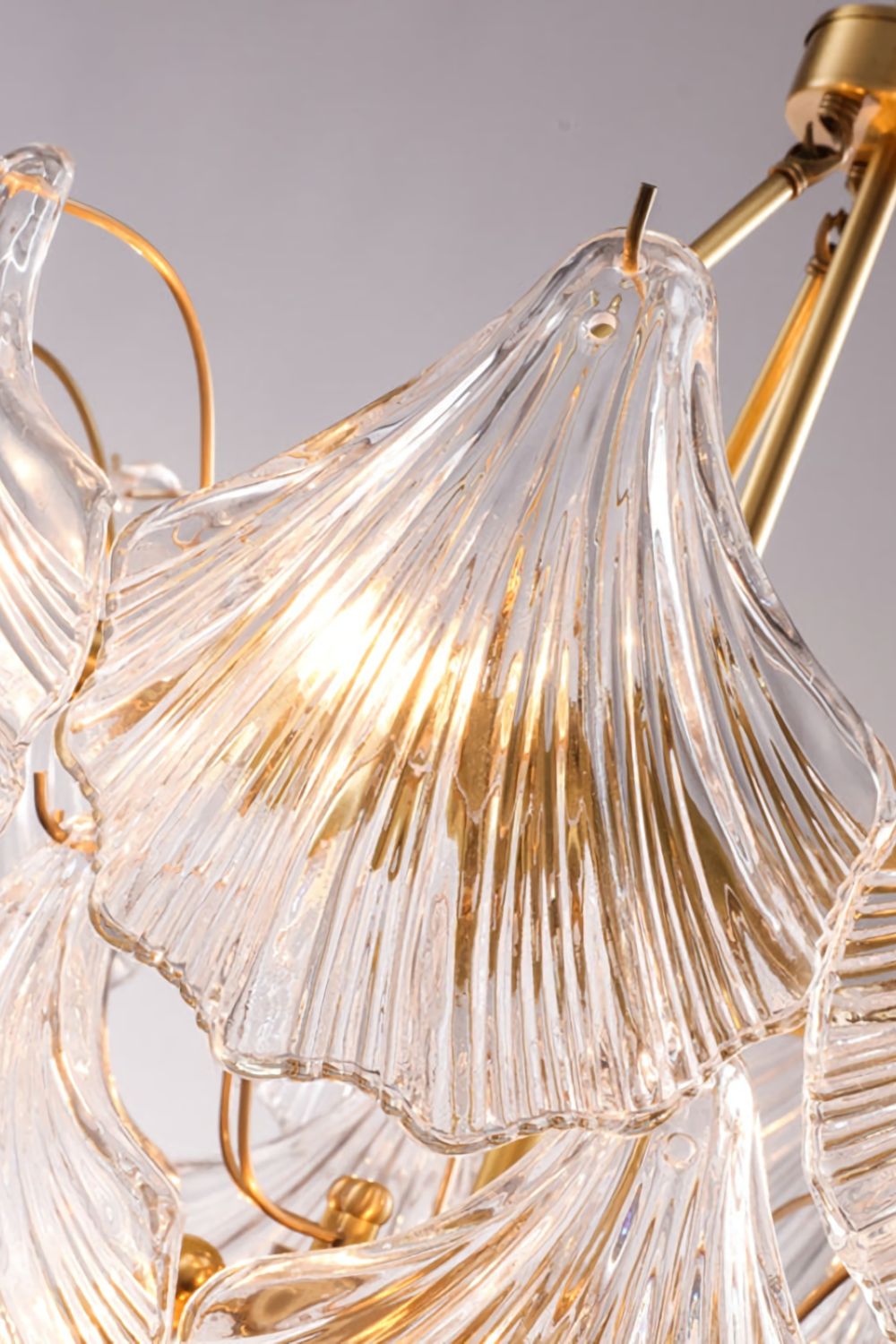 Scallop Shaped Chandelier Light - everlamps