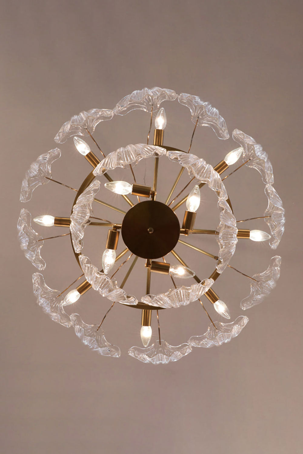 Scallop Shaped Chandelier Light - everlamps