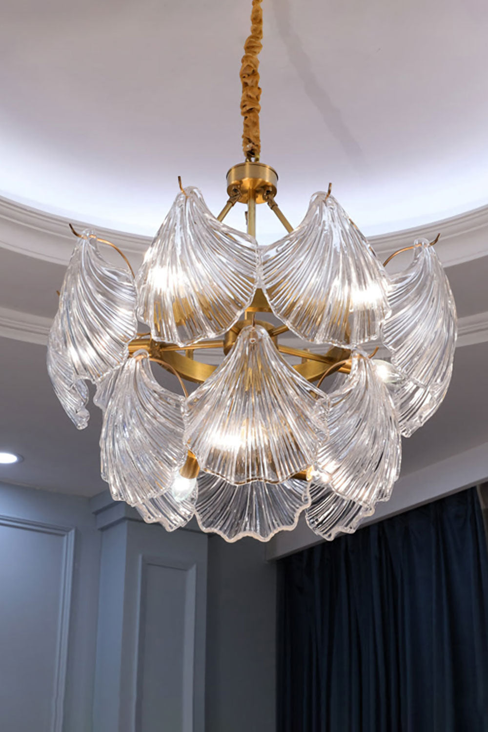 Scallop Shaped Chandelier Light - everlamps