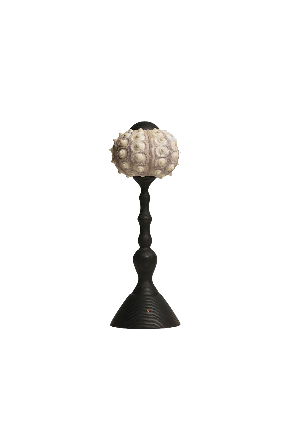 Sea Urchin Table Lamp | everlamps